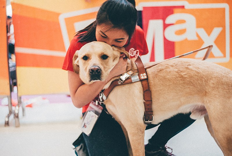 攝影師Kala工作紀錄: 香港導盲犬協會 - 『步步GO星 光明行動』籌款活動