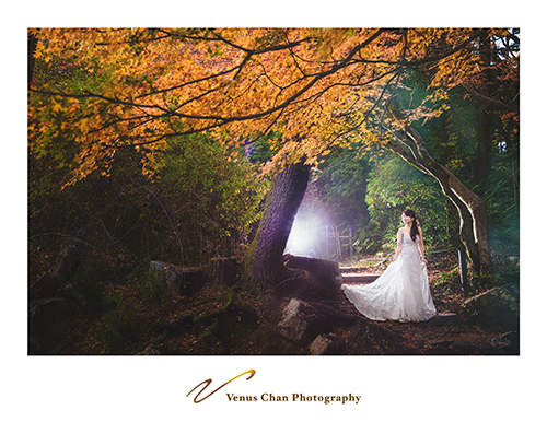Venus攝影師工作紀錄: Overseas Pre-wedding - Kyoto｜海外婚紗攝影 - 京都