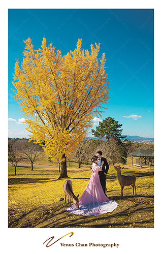 Venus攝影師工作紀錄: overseas Pre-wedding - Kyoto｜海外婚紗攝影 - 京都