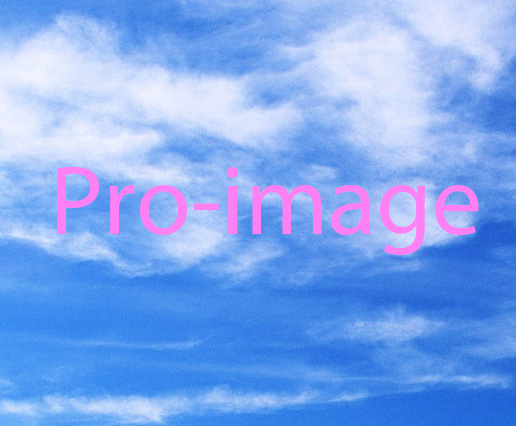 推介: Pro-image